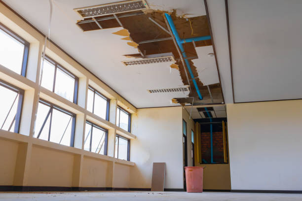 Best Sewage cleanup and water damage restoration  in Defuniak Springs, FL
