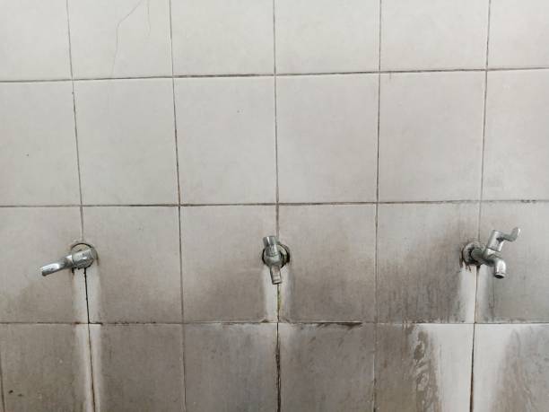 Best Local water damage restoration  in Defuniak Springs, FL