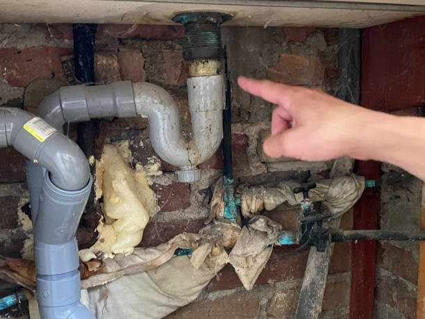 Best Professional water damage repair  in Defuniak Springs, FL
