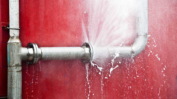 Best Carpet water damage restoration  in Defuniak Springs, FL