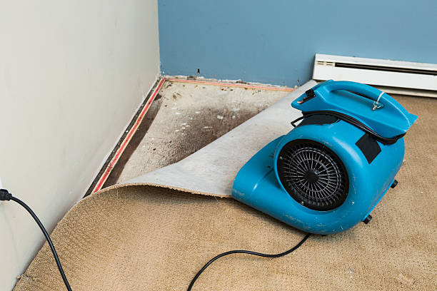 Best Emergency water damage restoration  in Defuniak Springs, FL